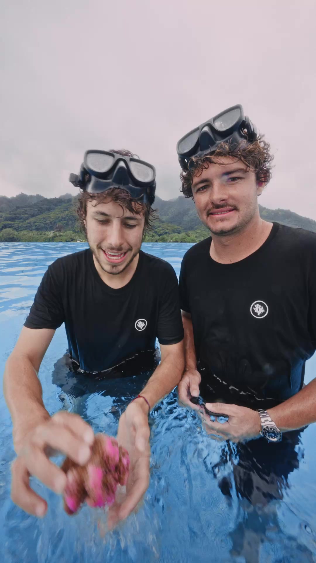 Adopt a Resilient Coral, Today! 🖤