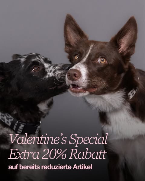 +20% Rabatt 💘 Für den Valentinstag.