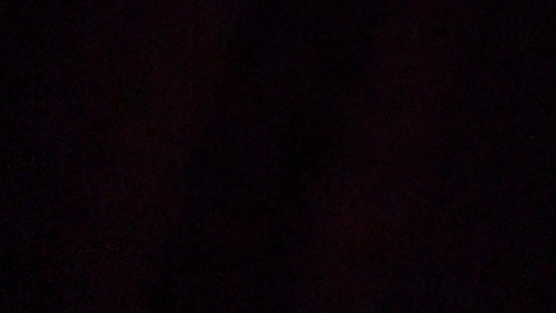 One bag for everything.