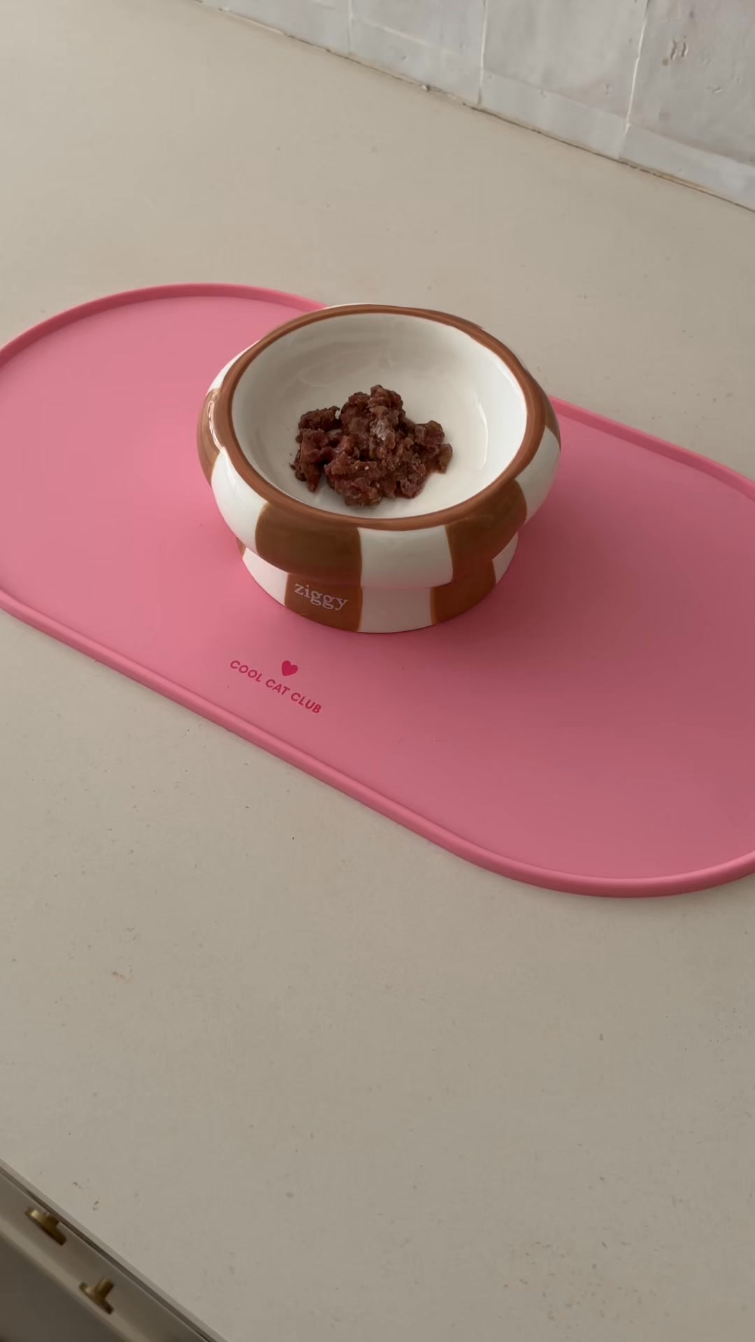 PROBIOTIQUES CHATS & CHATONS