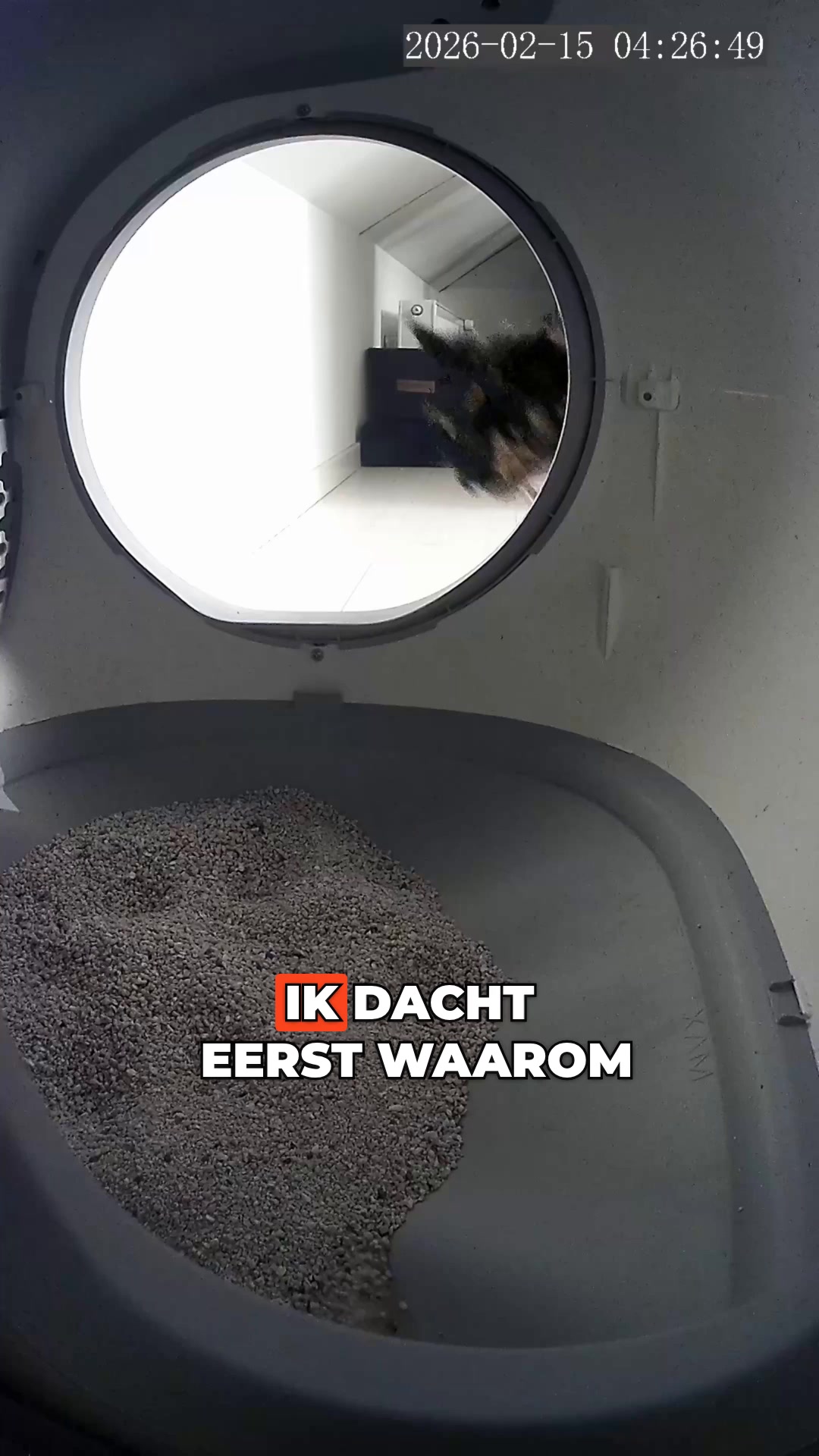 Nooit meer de kattenbak scheppen 🐾