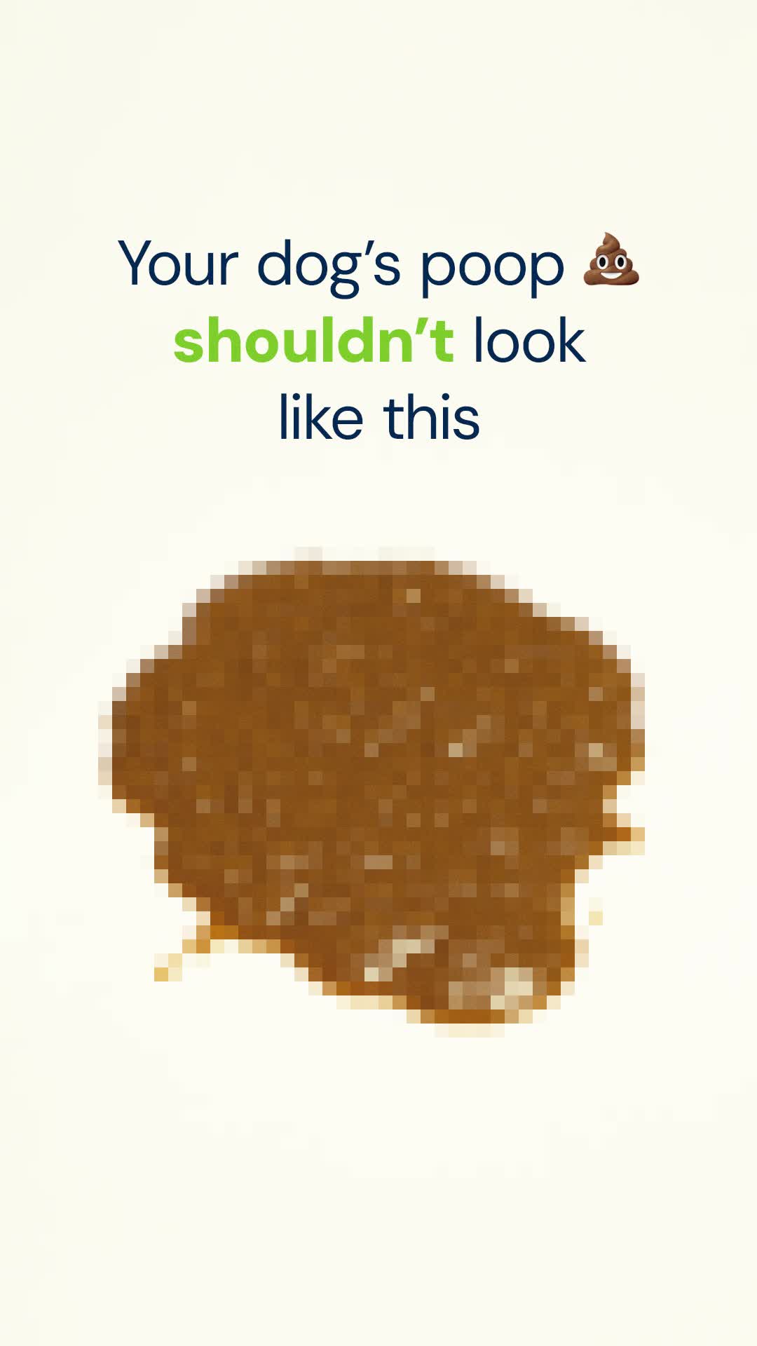 A Happy Dog Starts With A Healthy Gut