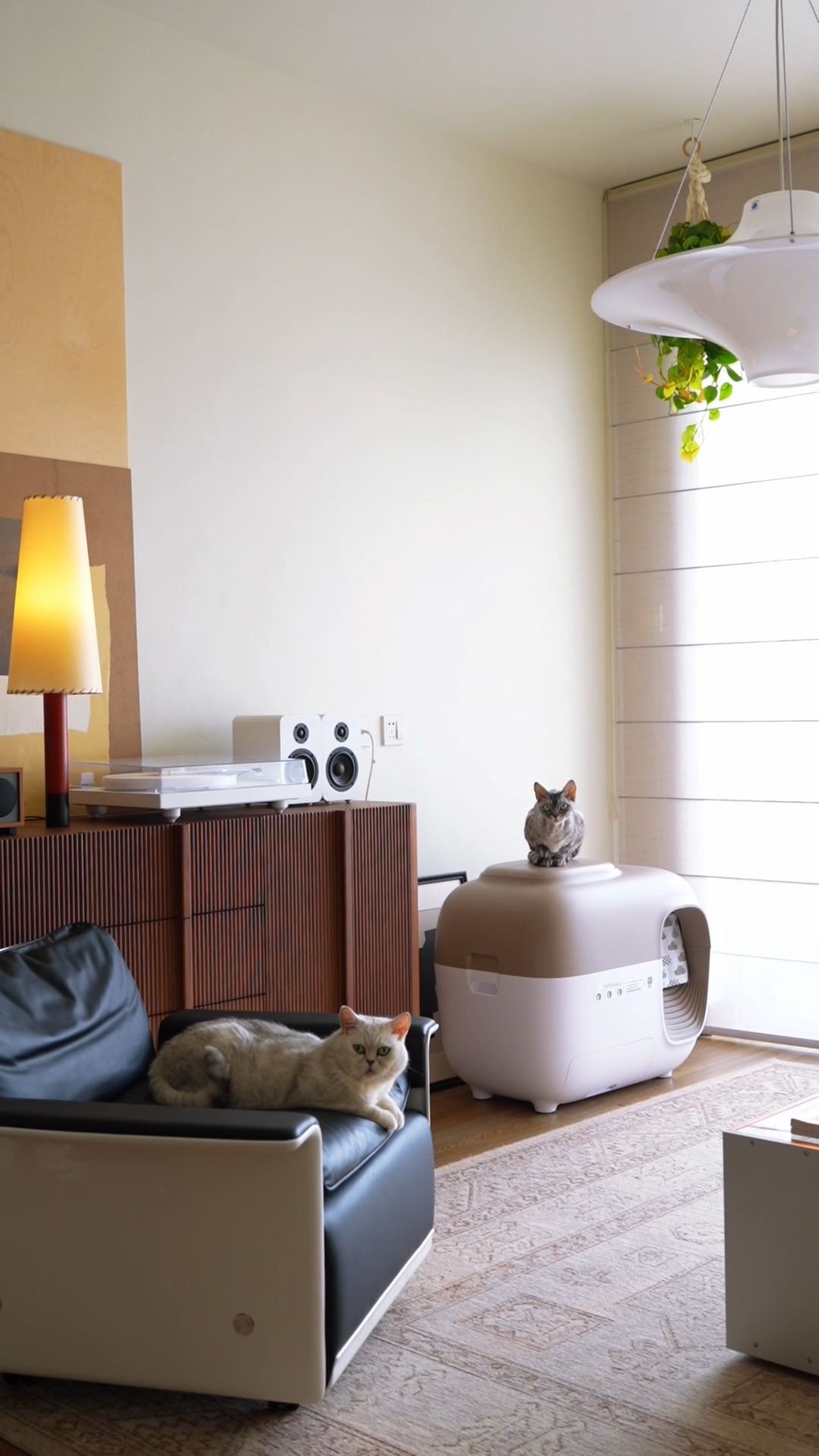 Less scooping, more holiday joy. 

This Christmas, elevate your pet’s comfort with the PetSnowy Self-Cleaning Litter Box. 

Effortless clean, engineered with TiO₂ odor control, anti‑tracking walkway, and an auto-sealing waste bin for a pristine home. 🎄

#petsnowy #litterbox #automaticlitterbox #lifestyle #petsnowyhome