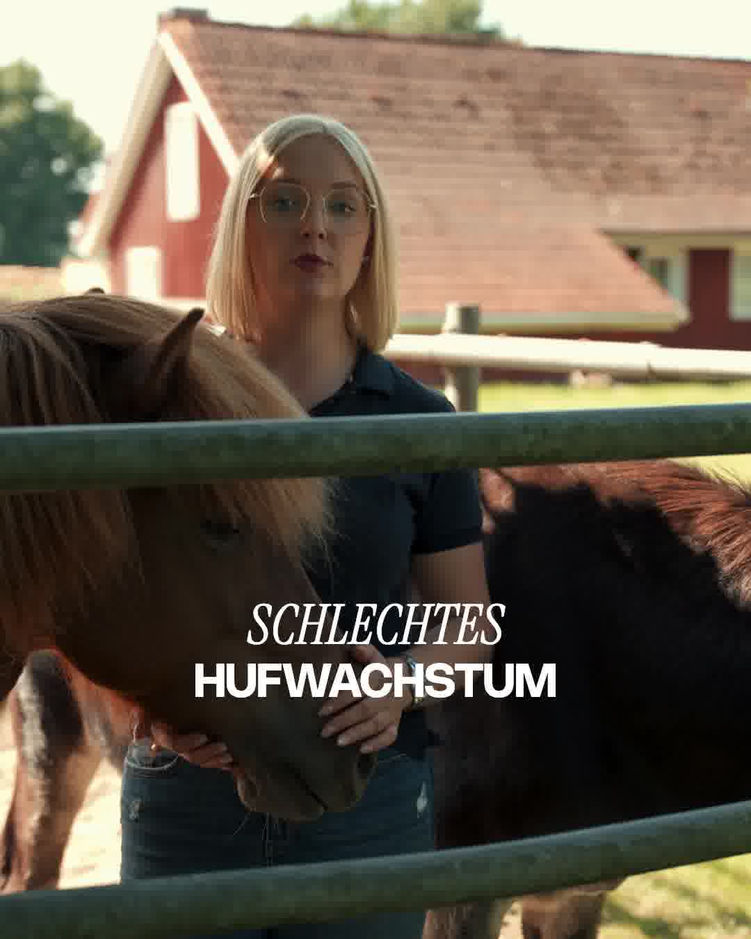 Teste jetzt Kristallkraft No1!