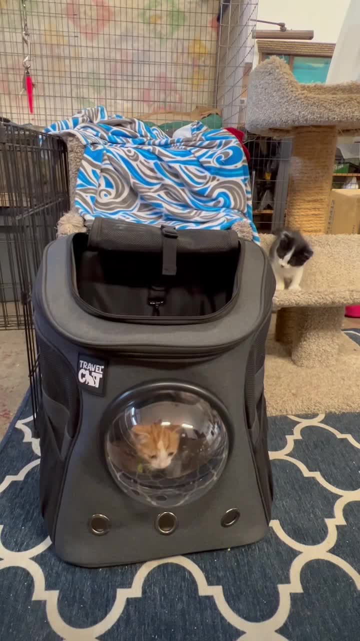 Make Every Trip An Adventure