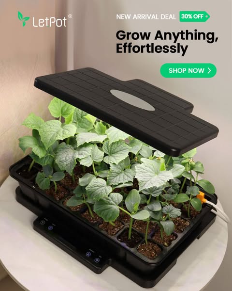 🪴Grow Smarter, Grow Stronger