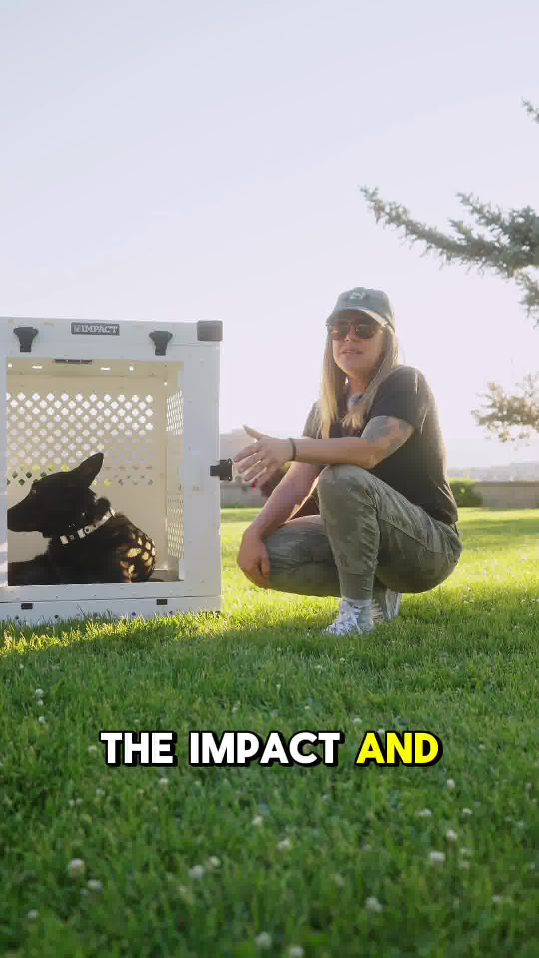 🐕 World’s best Dog Crate. Period.