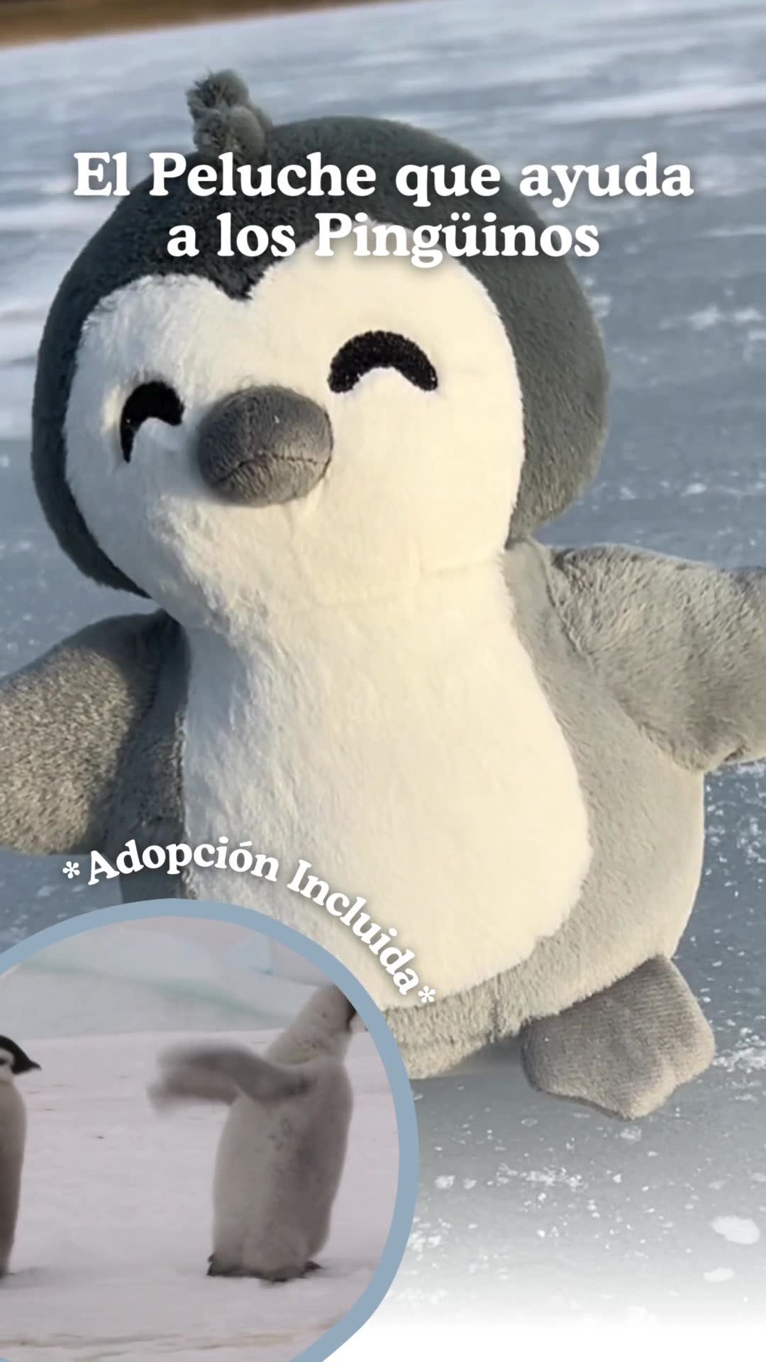 El mejor regalo 🎁