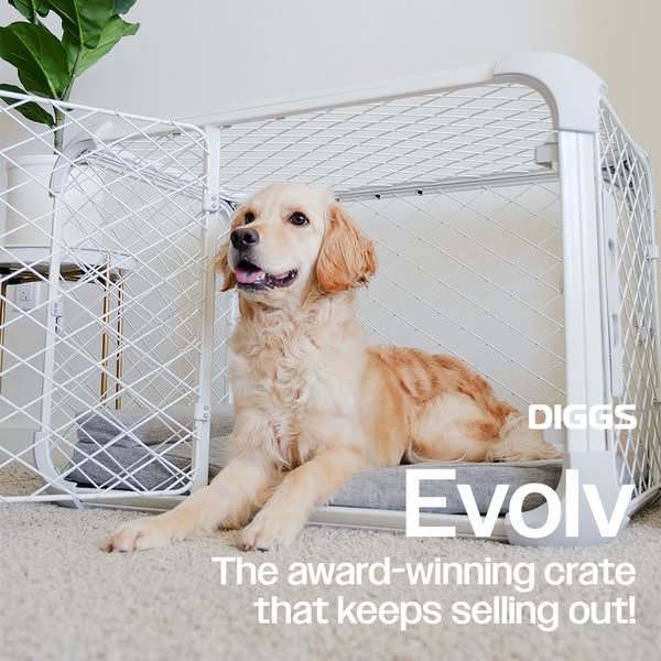 #1 Trainer Recommended