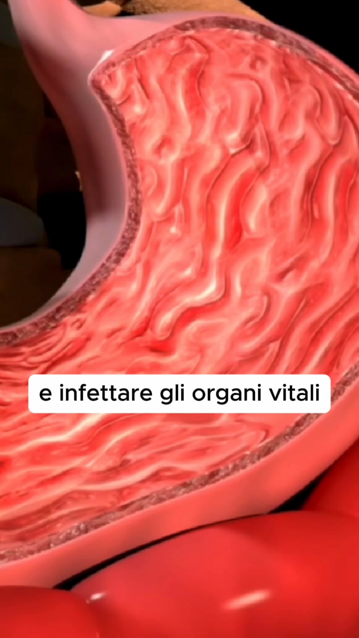 Dental Formula 5 in 1 🐶