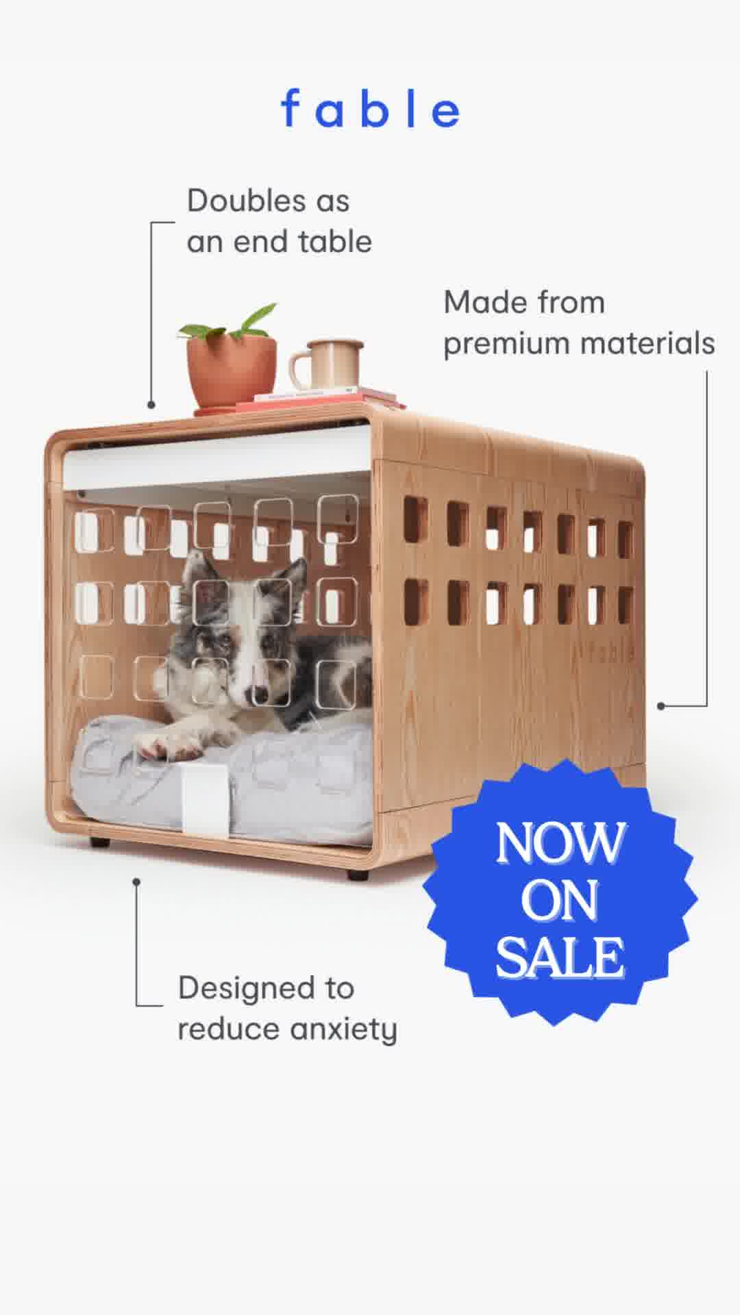 Finally, A Crate Your Dog Runs To (Not Away From)