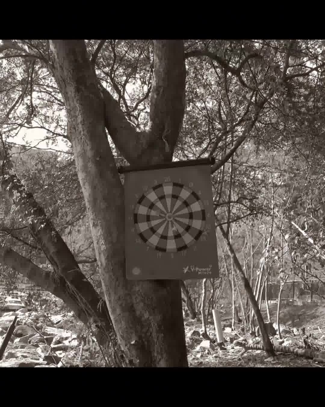 The Stats Don't Lie 🤷‍♂️