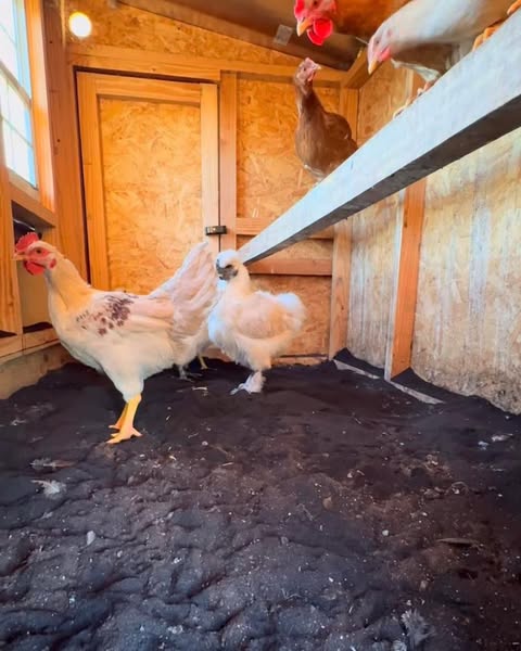 Coffee Ground Bedding - 30 LB Bag