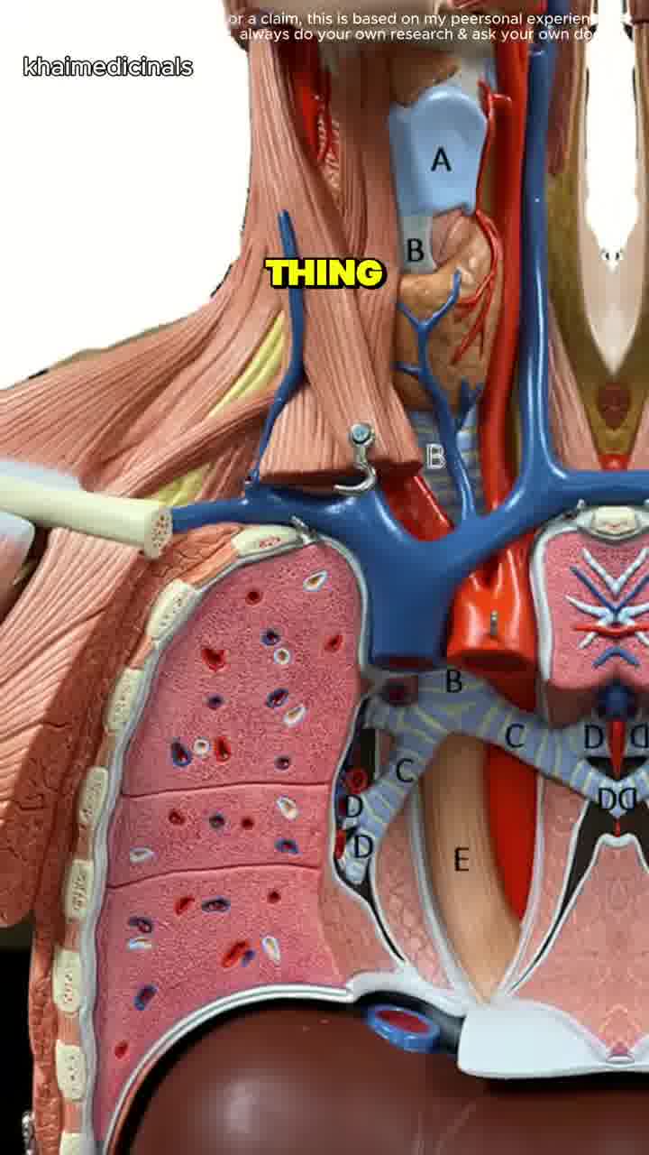 🧬 One dropper. Ten powerful herbs