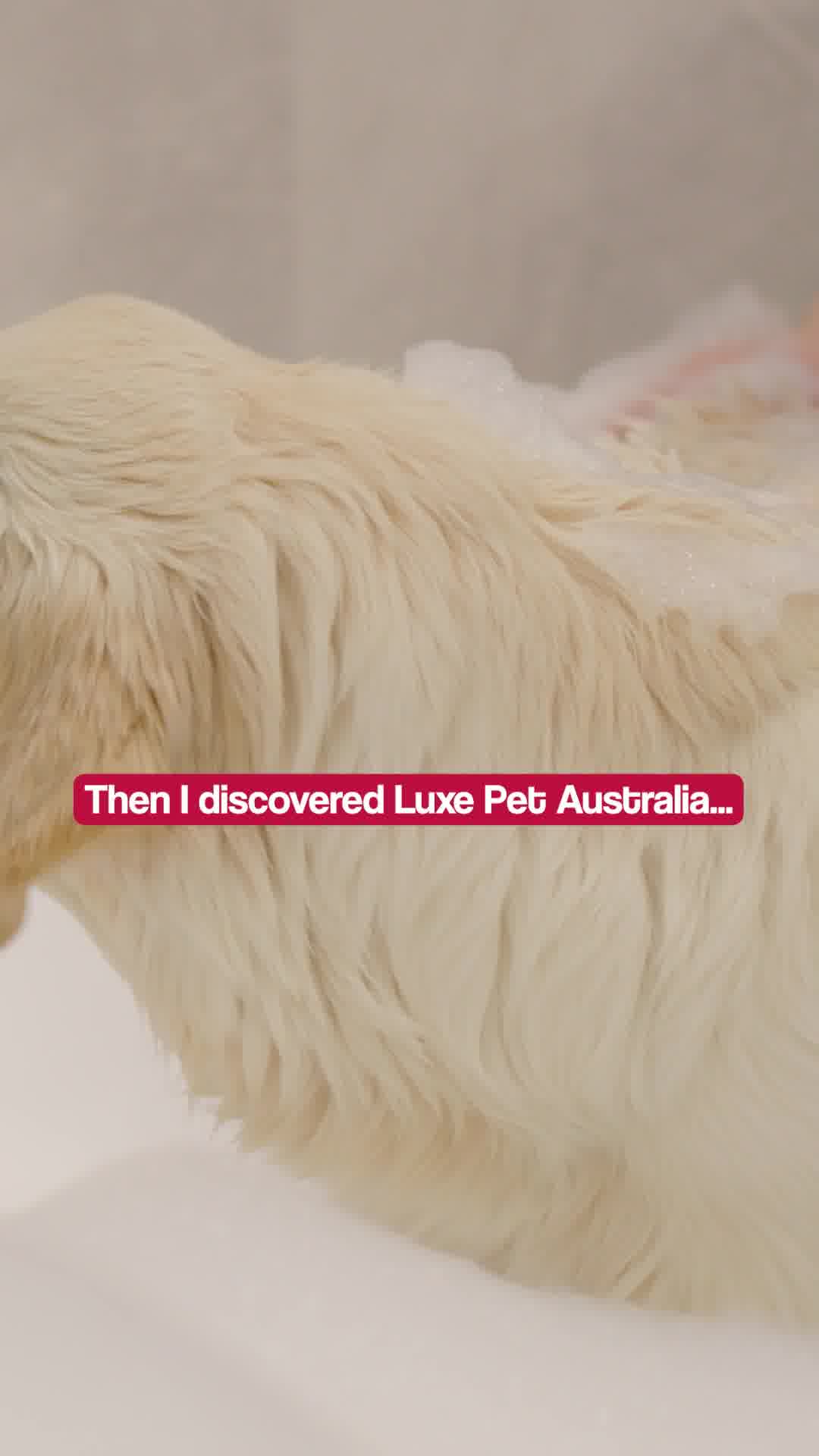 Keep Your Pet Happy and Healthy!