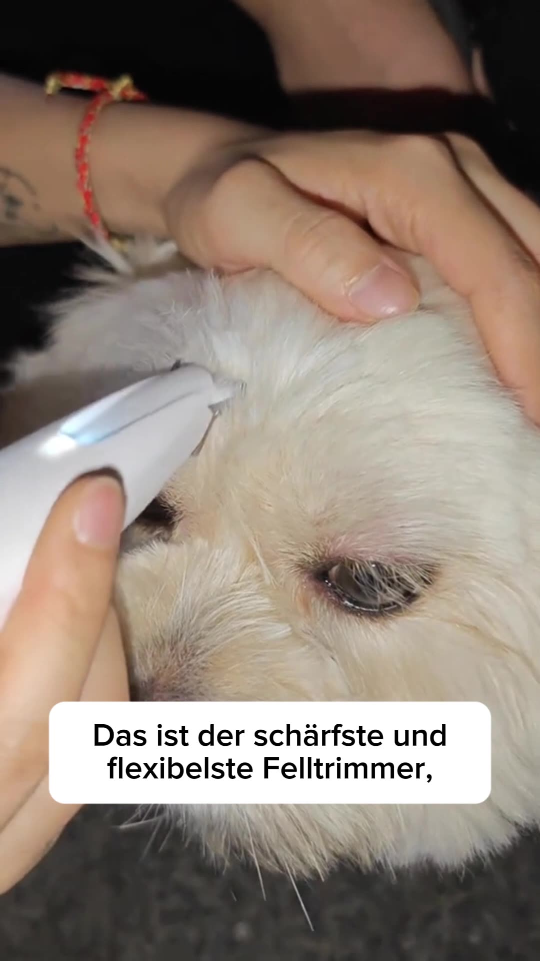 Von Tierärztin empfohlen⭐⭐⭐⭐⭐