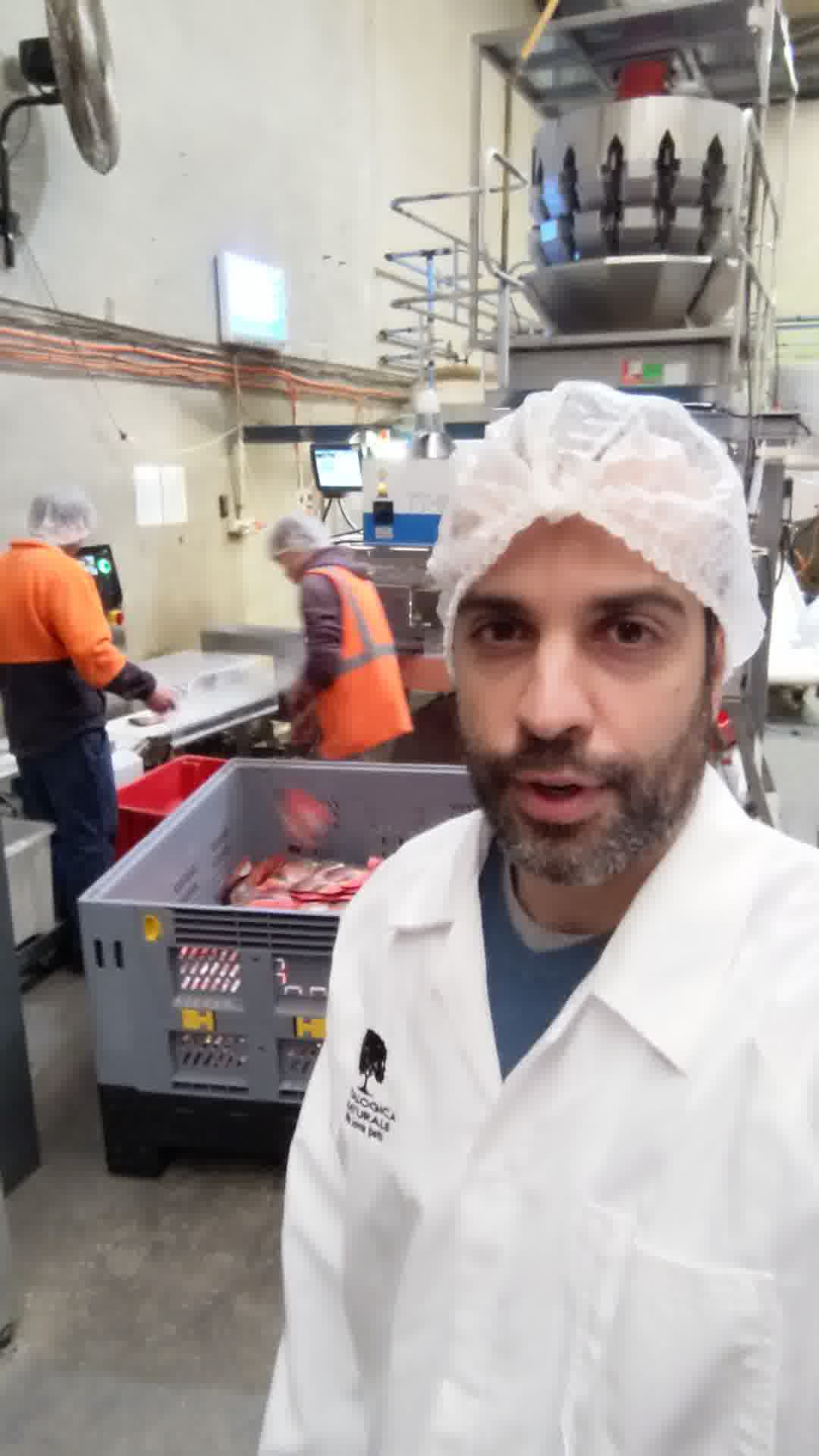 Limited Time: FREE Vetalogica Dog Food Samples 🐶