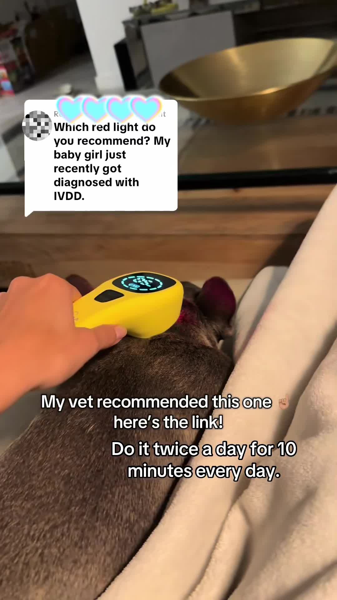 KTS® Pet Handheld Cold Laser Therapy Device