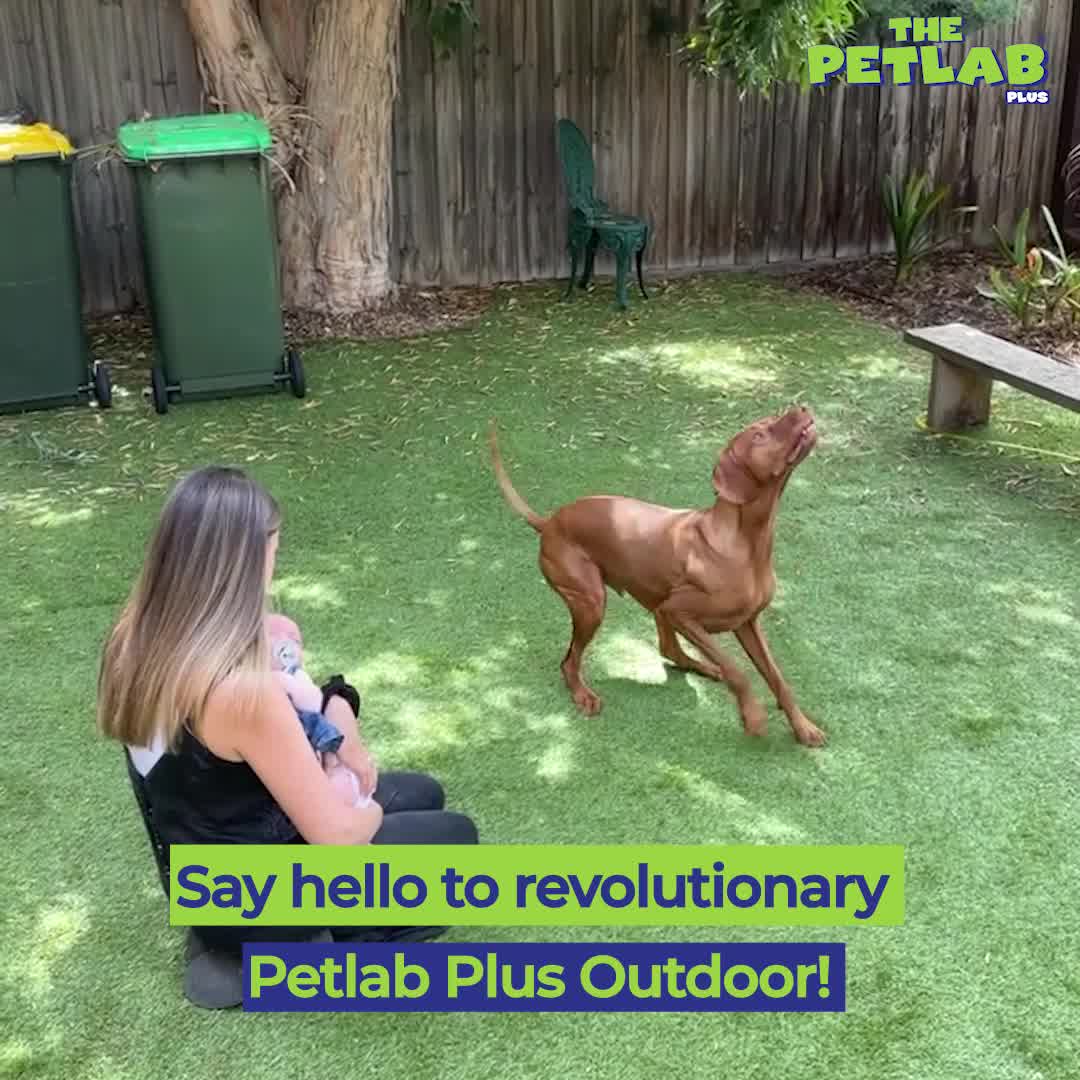 Instantly Turn Your Stinky Lawn into a Summer Paradise ✅