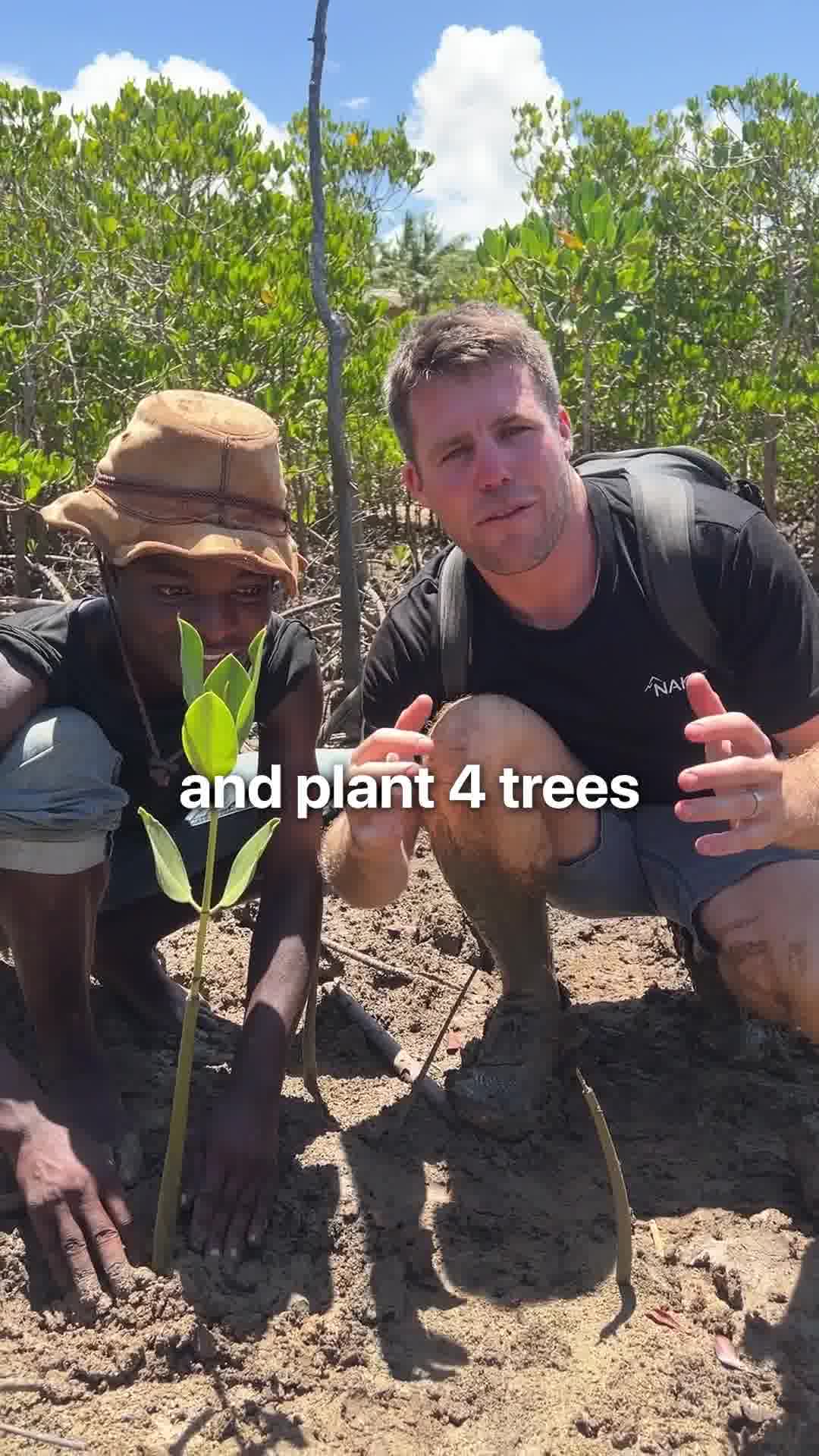 Once You Try This, Every Picnic Changes!