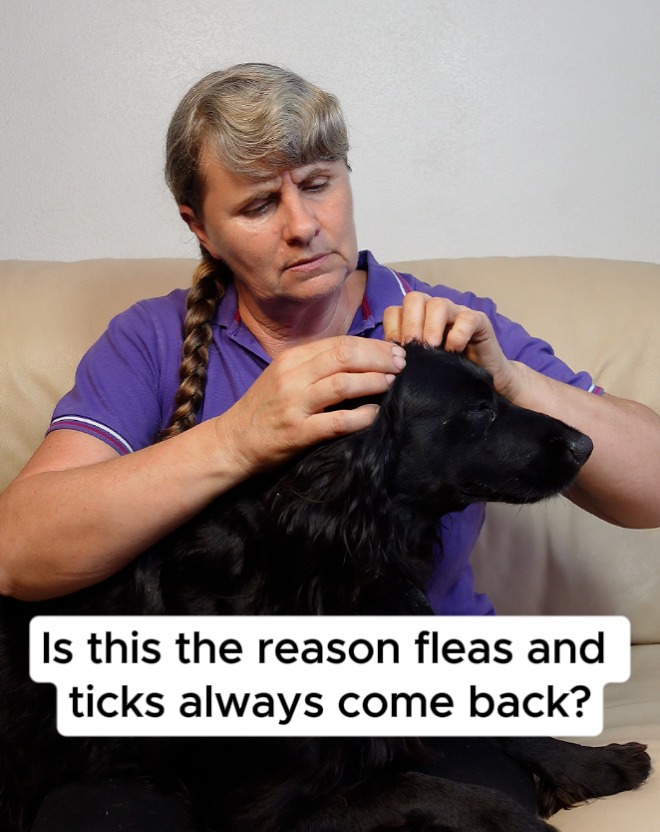 🐕 Tired of monthly flea treatments?