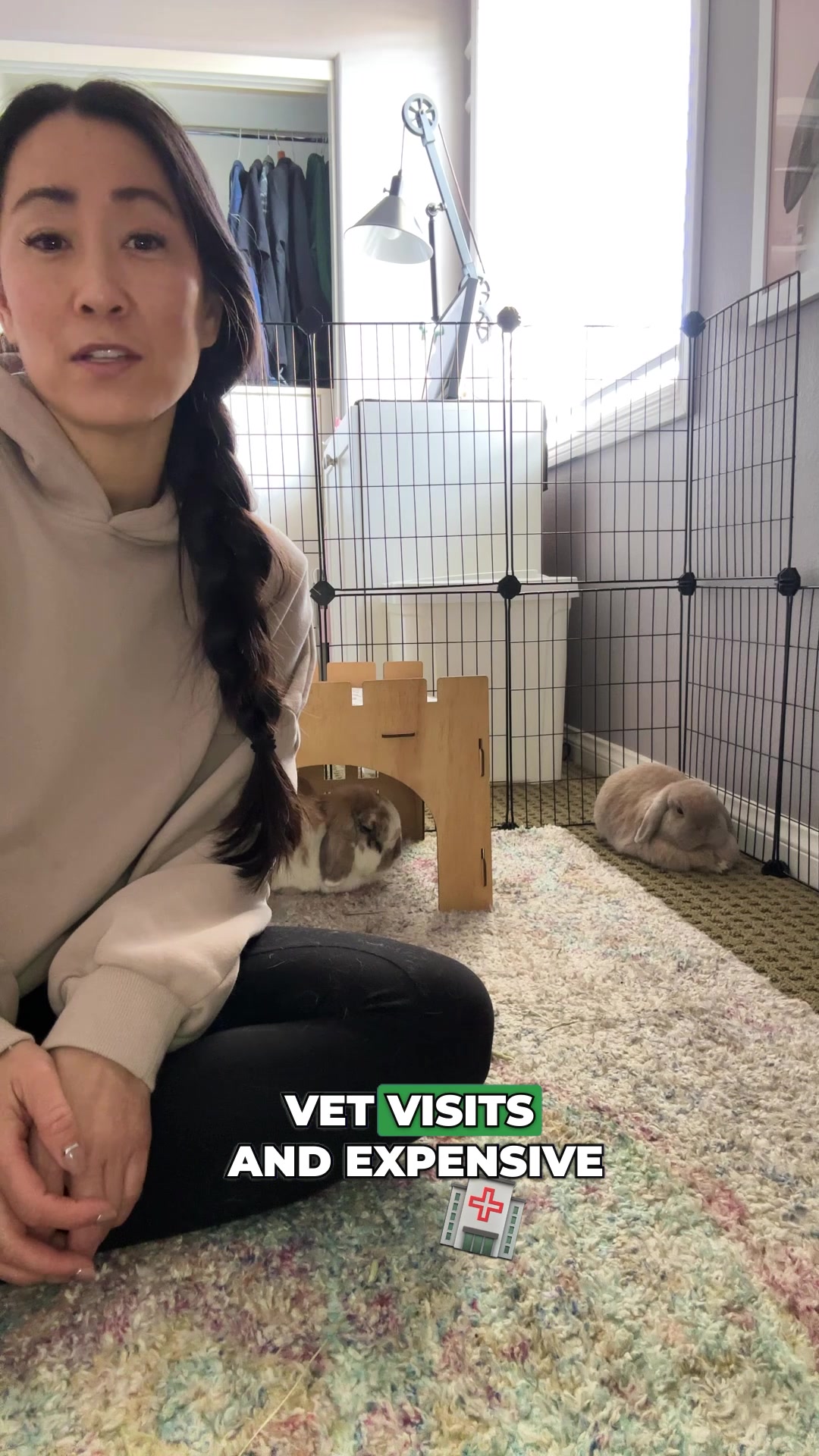 Struggling with a picky pet? Try our hay!