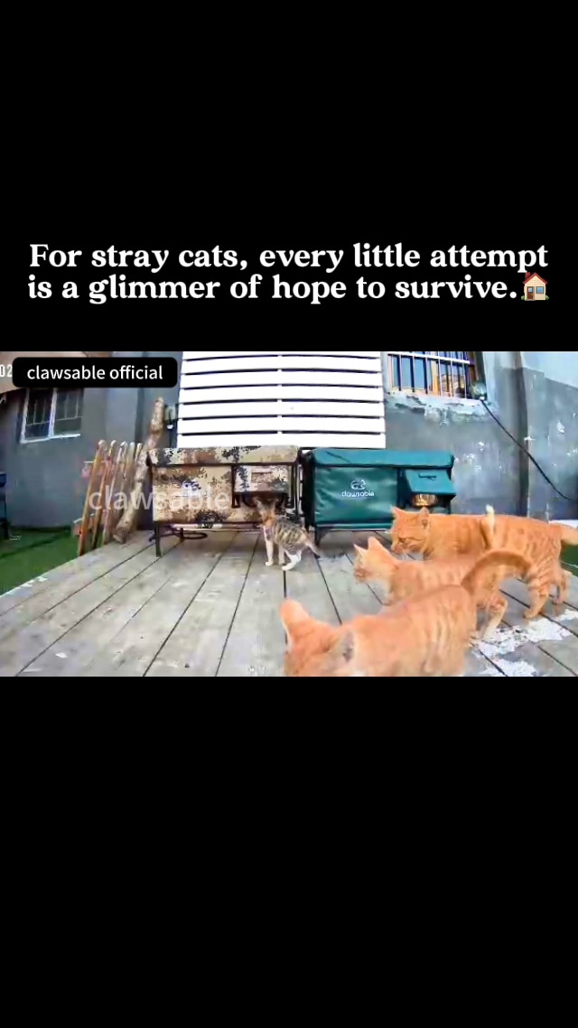 Clearance Sale — Up to 50% OFF