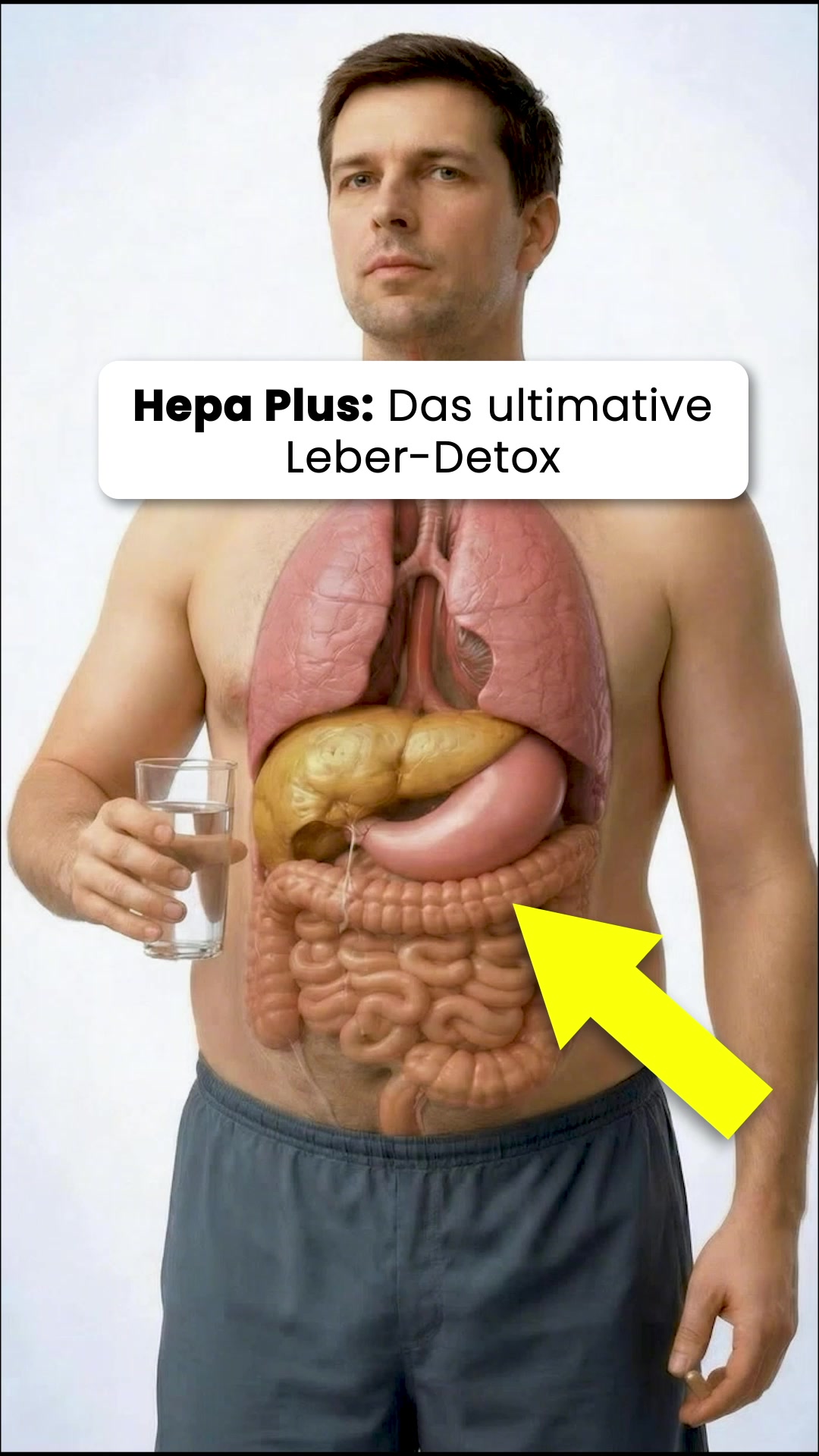 Leber-Detox aus der Natur!