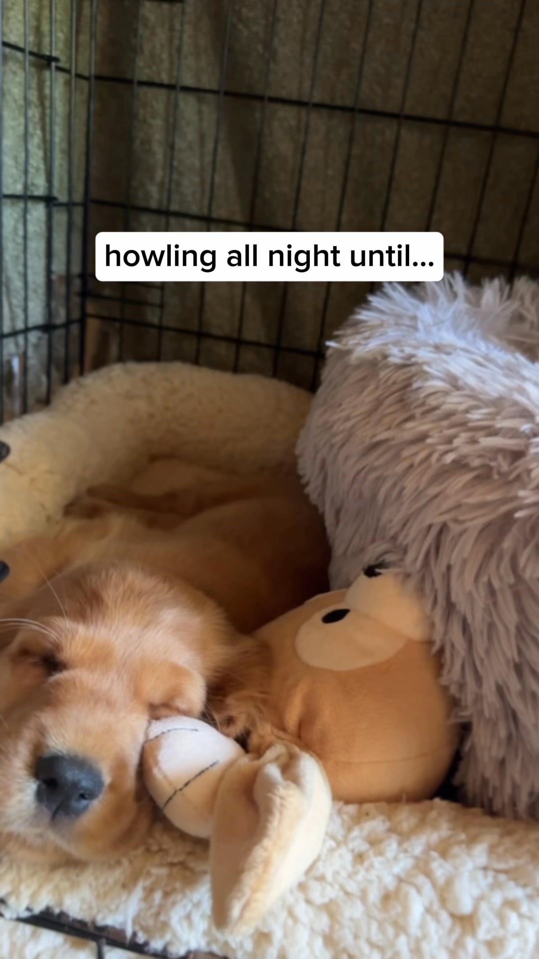 ... I got a Riff Raff.