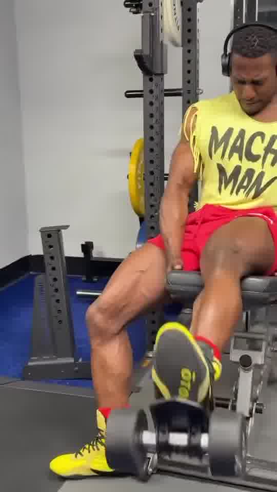 Lightweight, Portable, Functional