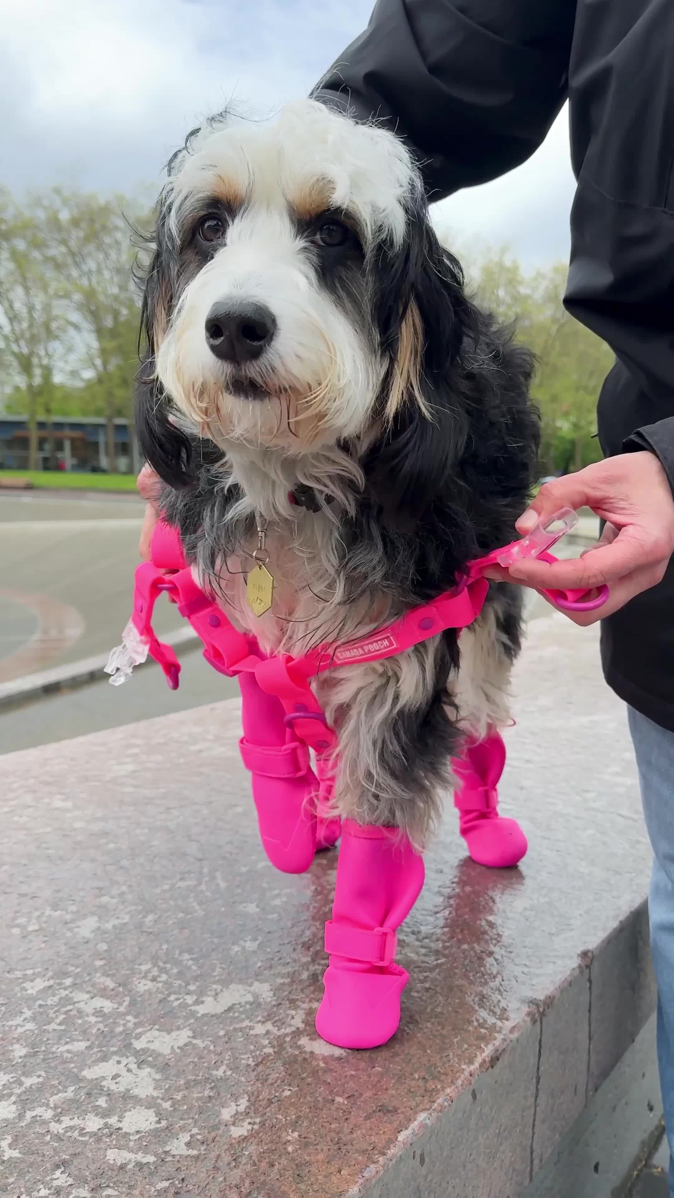 Keep it clean this season ☔