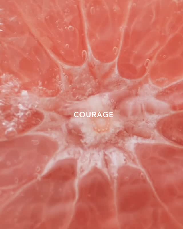 Citrus-drenched flowers open Valiant, a luscious floral fragrance.

#boadiceathevictorious #boadiceaperfume #valiant