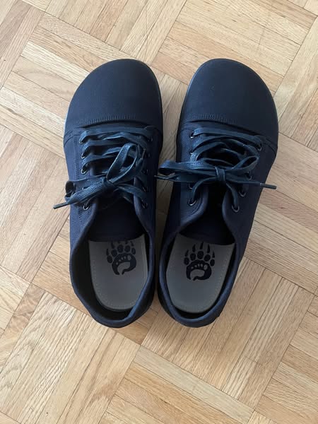 Are you ready to go Bearfoot?