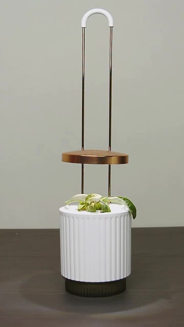 We are OBSESSED with this new HydroVase timelapse by @ermonix 

Did you know that Gazanias open in the daylight and close at night?

#indoorgarden #indoorgardening #flowers #smartgarden