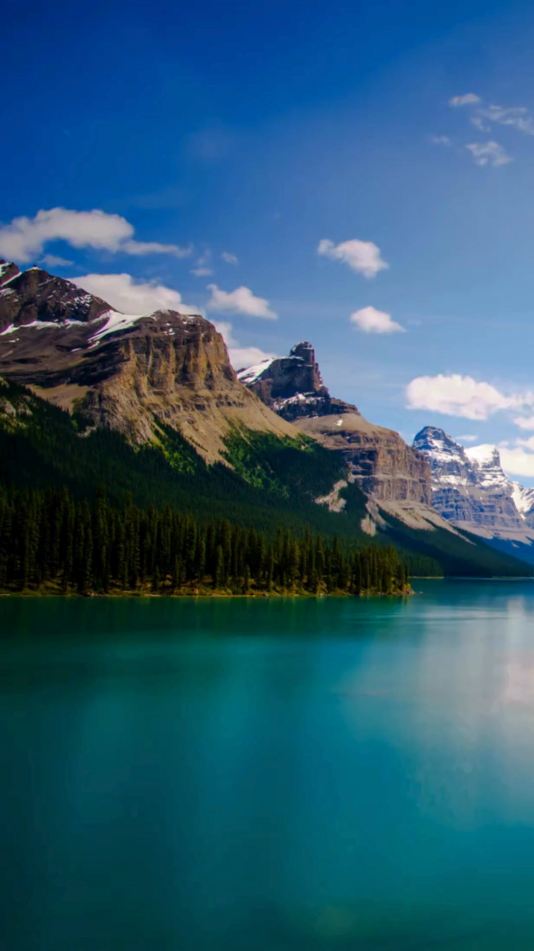 Built Slowly. Chosen Often.