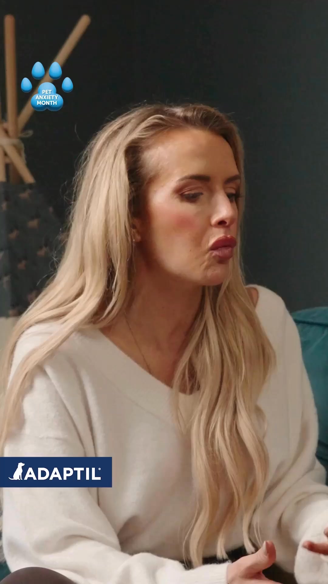 Our dogs feel anxiety too. 💛