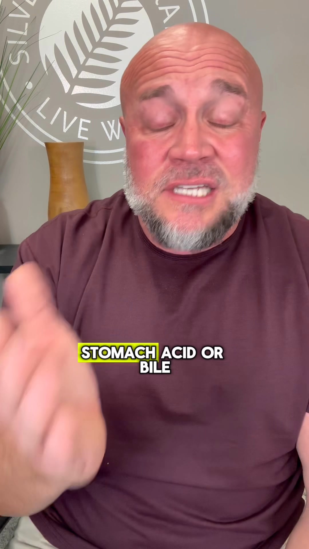 Sorry! Fermented foods DON’T count!