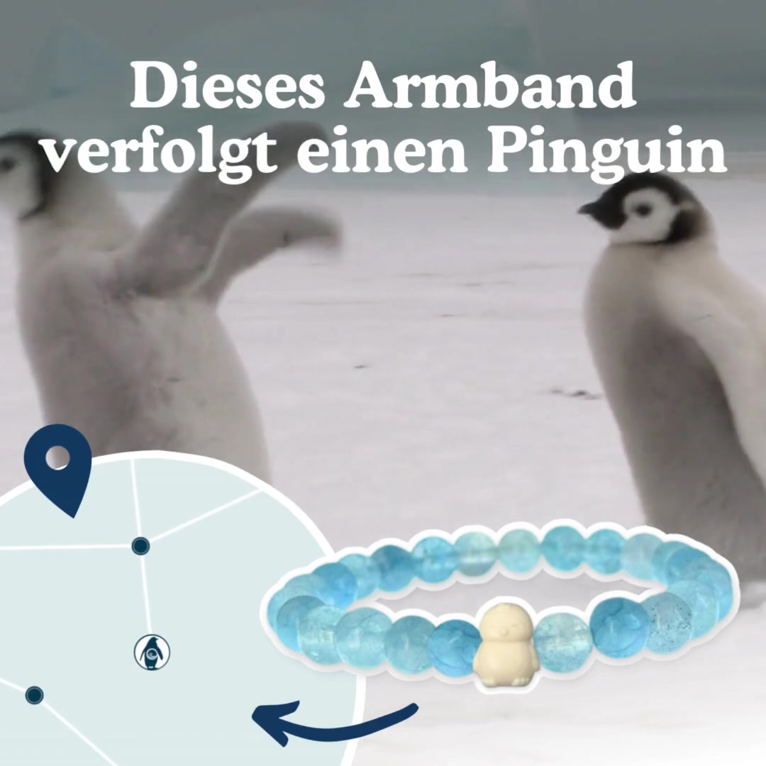 Das beste Geschenk aller Zeiten ! 🎁