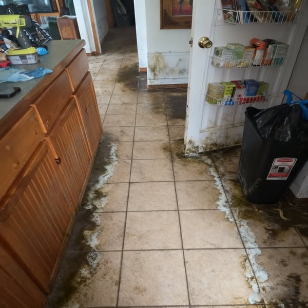 Próbáld ki kockázatmentesen 30 napig. Mélytisztítás könnyedén.