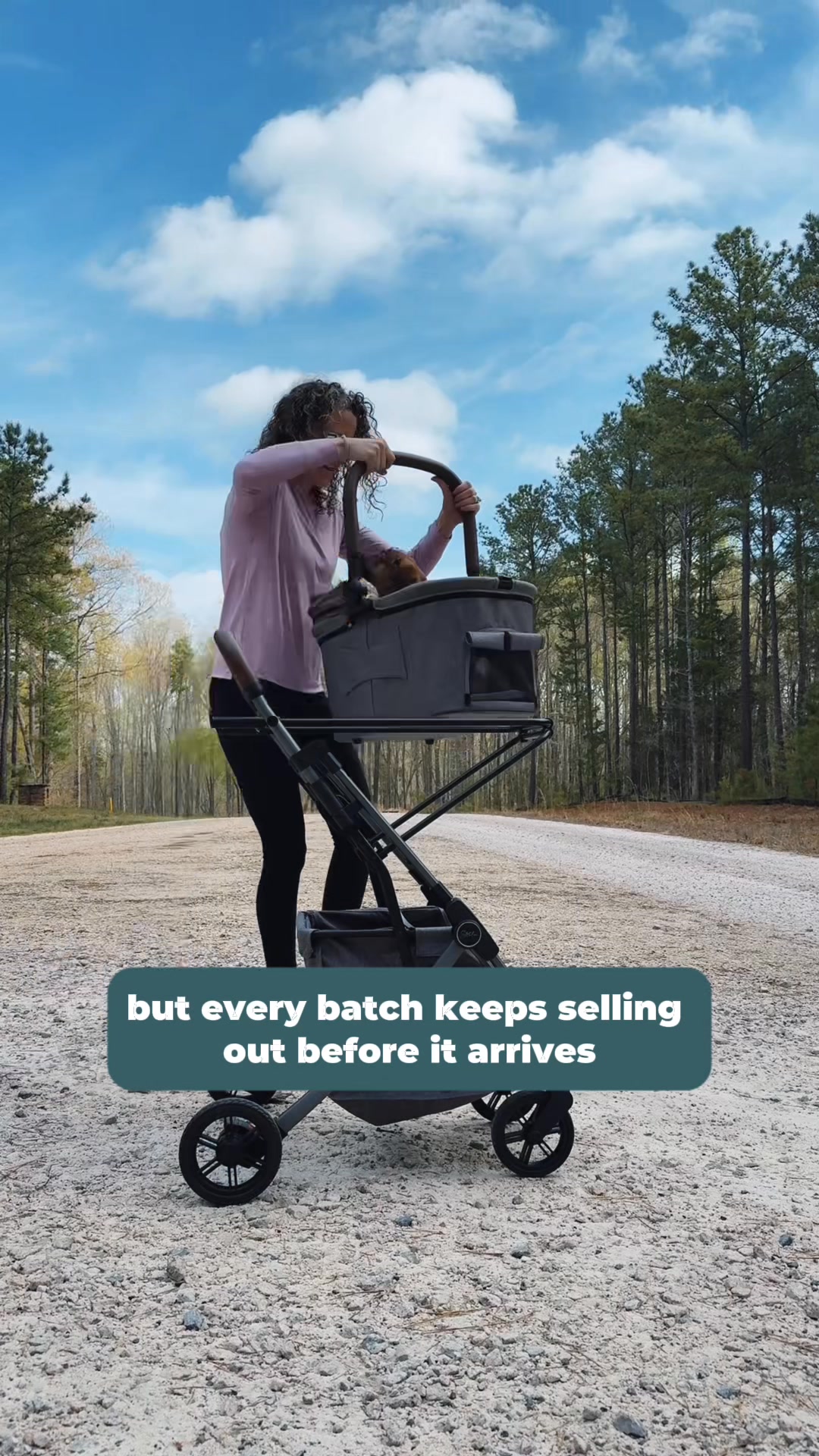 The Walker-Like Cart That Sold Out 6 Times