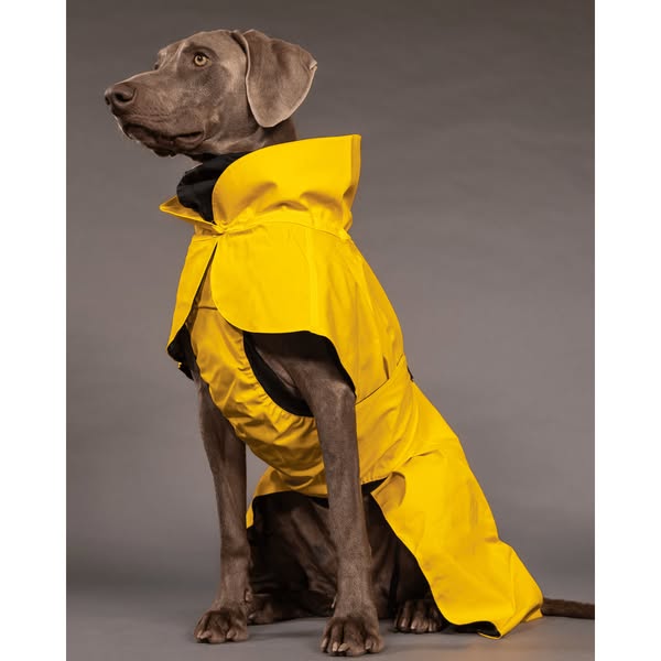 PAIKKA Visibility Raincoat Lite for Dogs Yellow