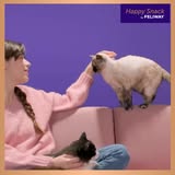 FELIWAY