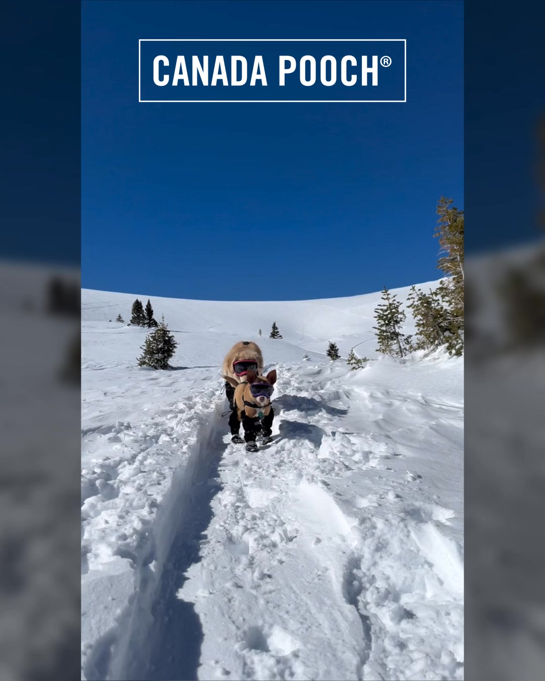 Shop NEW Puffers, Boots, and More!