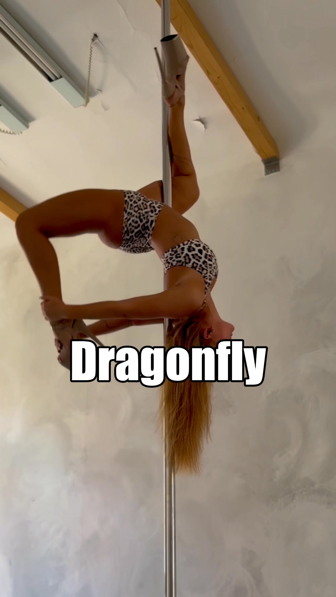 🔥 Dragonfly Polewear Feels Better