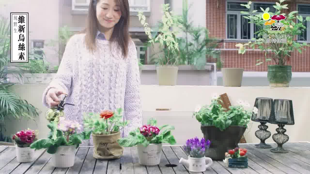 維特健靈官方海外專賣店