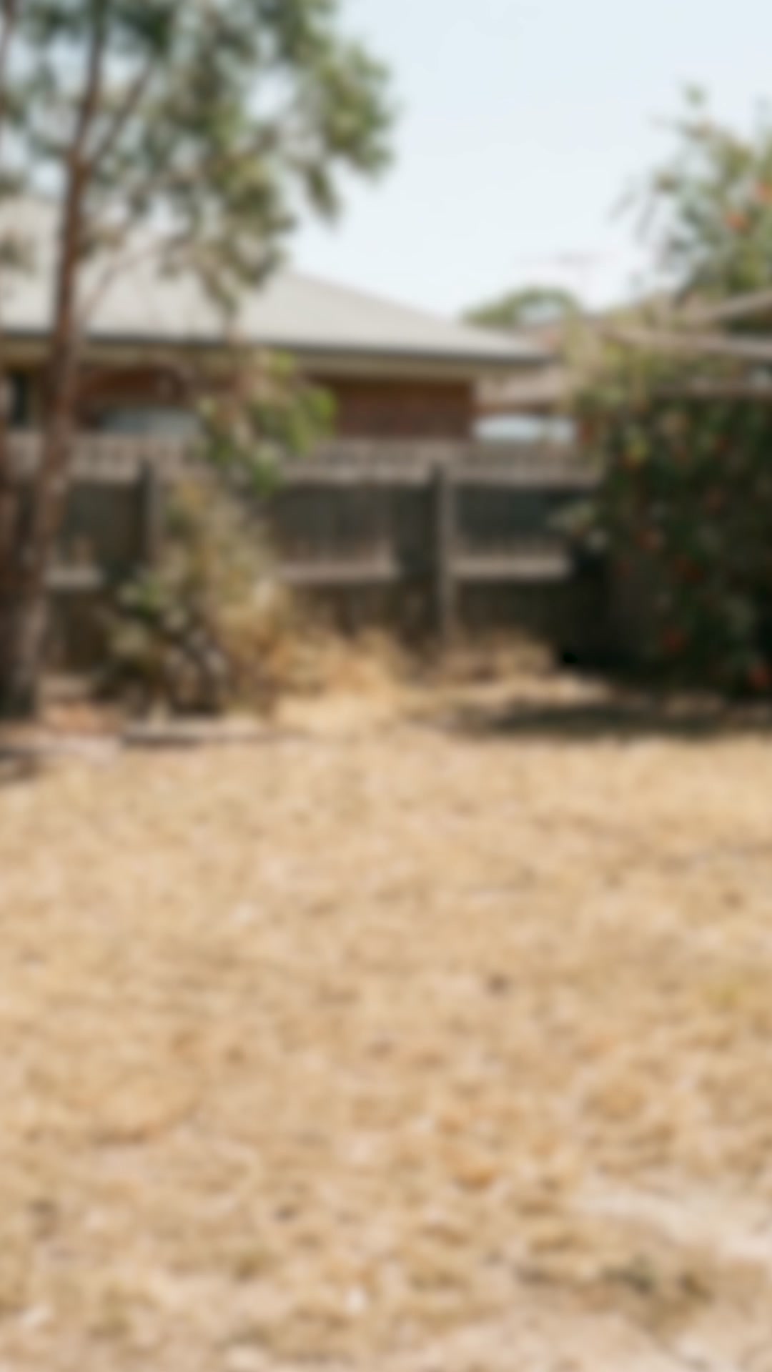 Professional lawncare made simple 🏡