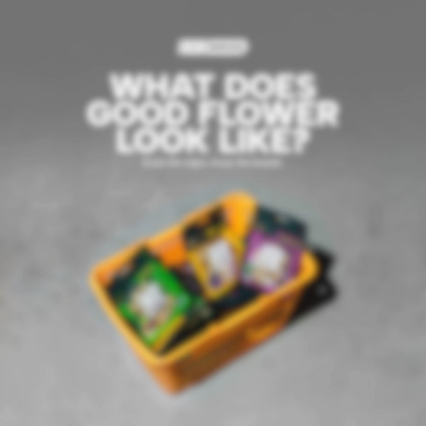 What Does Good Flower Look Like?