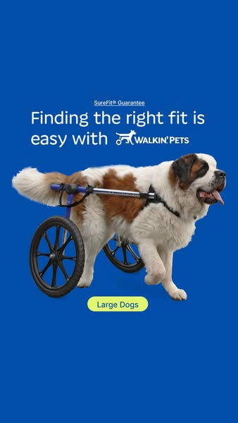 Adjustable Wheelchairs for Large Breeds