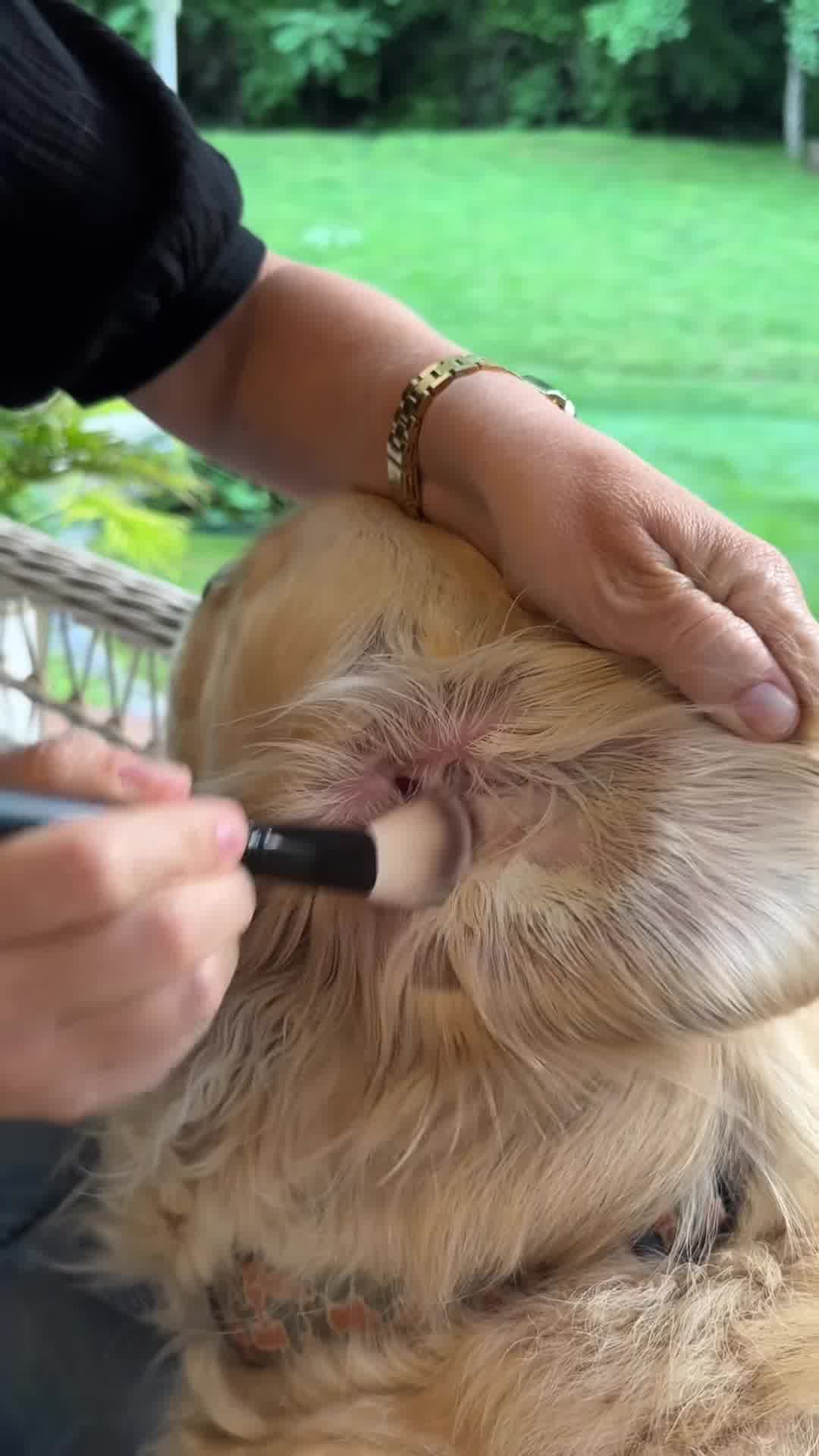 Get rid of itch and stink in days!