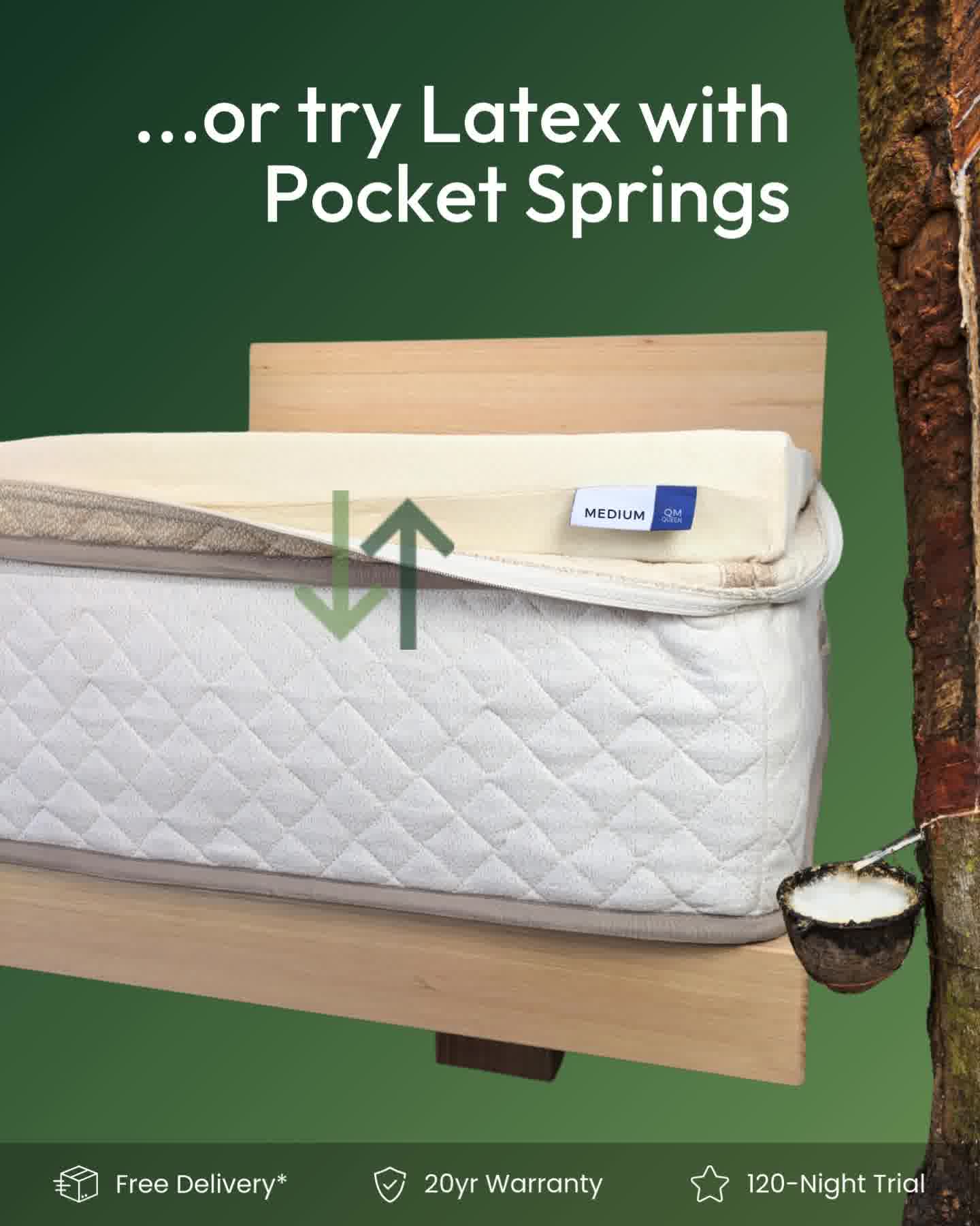 Adjustable, Non-Toxic Mattresses